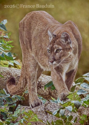 Quiet Purpose 208 hours 
Brown Pastelmat
27" x 19"
Ref.: Anne No&euml;l
